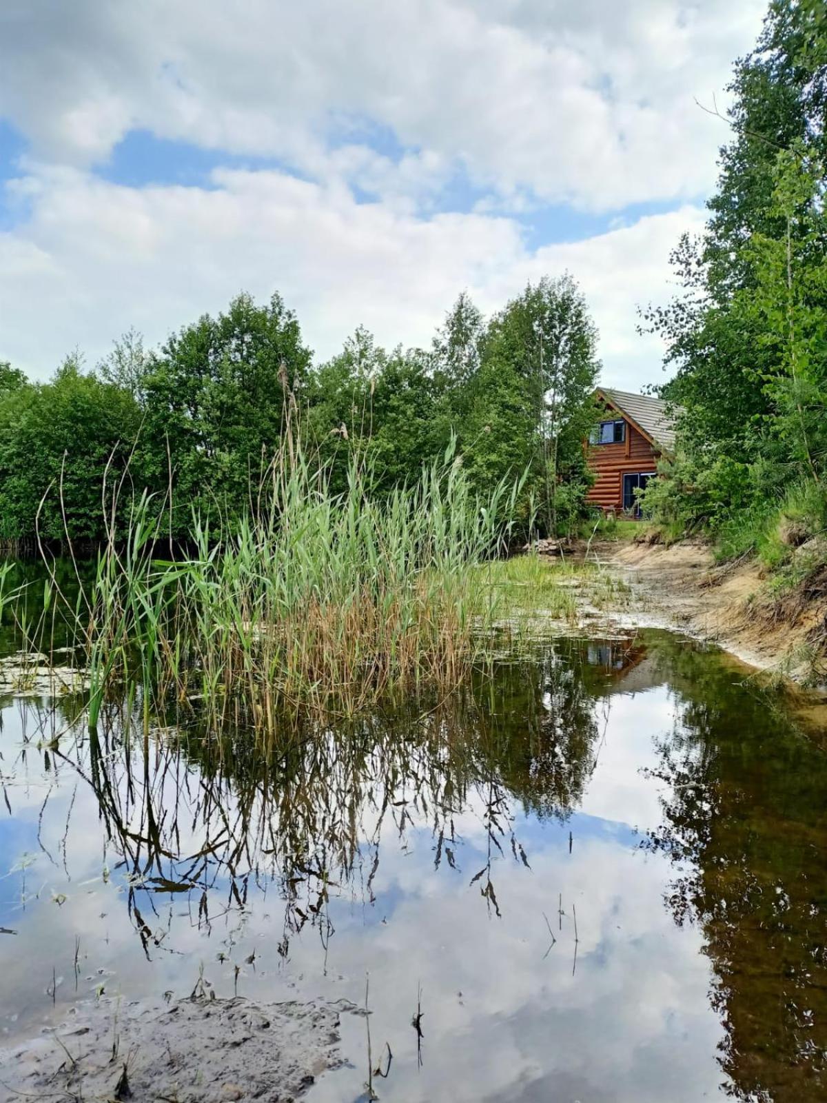 Unieke Houten Villa Met Sauna In Twente - 6P Den Ham Екстериор снимка